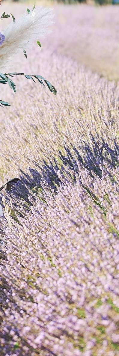 Un accompagnement de mariage structuré tout au long des préparatifs  Provence